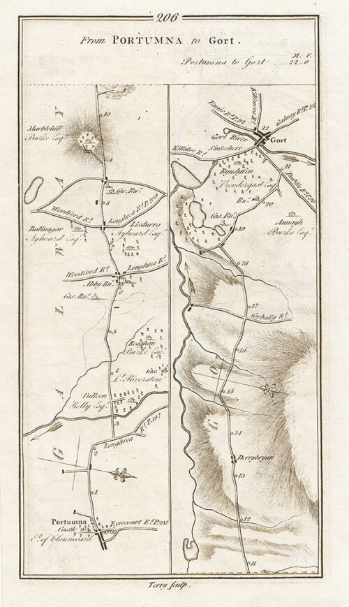 George Taylor and Andrew Skinner - Road from Portumnqa to Gort