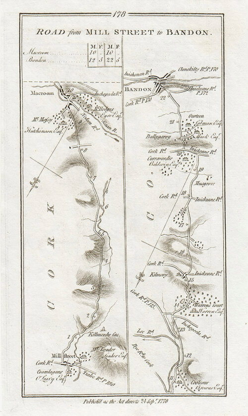 George Taylor and Andrew Skinner - Road from Mill Street to Bandon