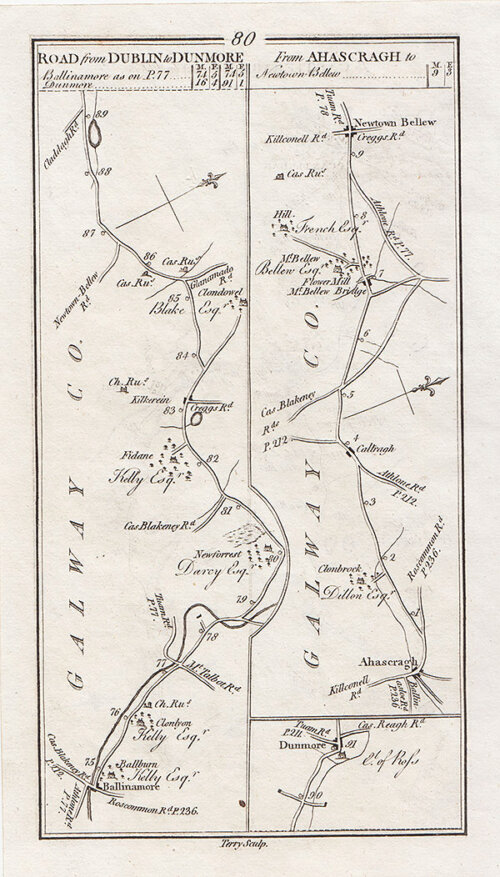George Taylor and Andrew Skinner - Continuation of the road from Dublin to Dunmore via Ballinamore and the road from Ahascragh to Newtown Bellew