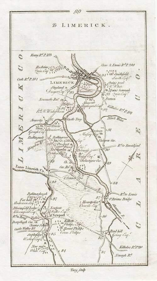 George Taylor and Andrew Skinner - The Road to Limerick from Newport