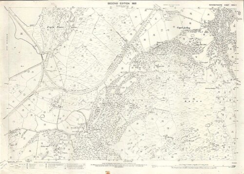 Ordnance Survey Map - Dolgelley.  Second Edition 1901.
