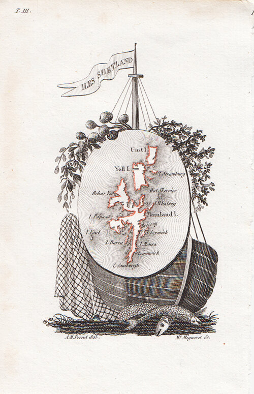 Perrot  -  Shetland