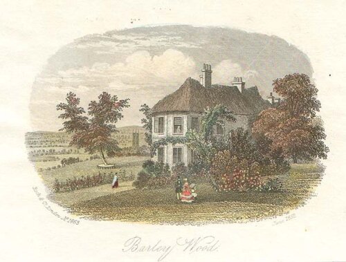 Barley Wood