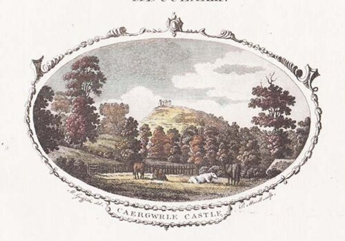 Caergwrle Castle