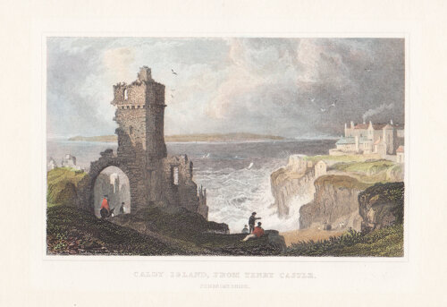 Caldy Island from Tenby Castle