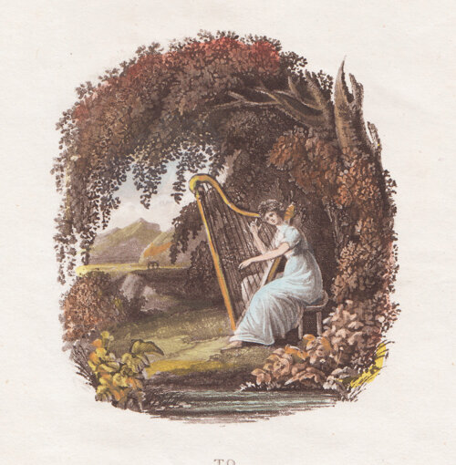 Frontispiece to Cambria Depicta