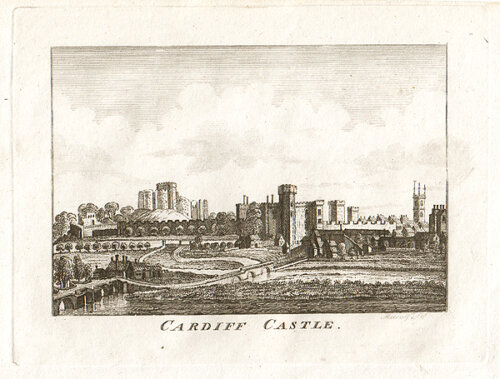 Cardiff Catle