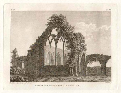 Castle Dermot's Abbey  Pl2