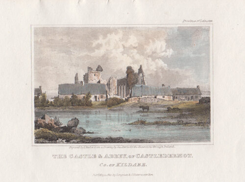 The Castle & Abbey of Castledermot Co of Kildare