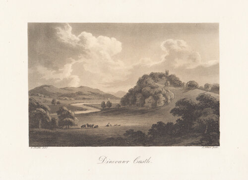 Dinevawr Castle 