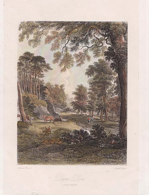 Duru Den Fife-Shire