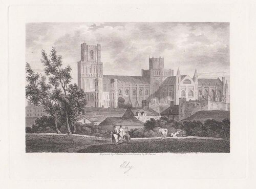 Ely. 