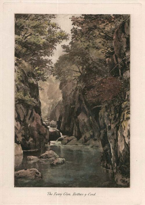 The Fairy Glen Bettws - y -  coed