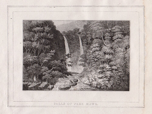 Falls of Park Mawr