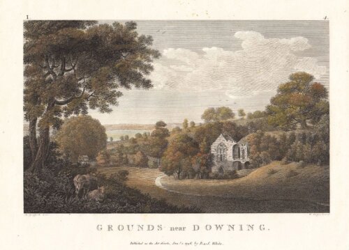Grounds near Downing.  (antique print)
