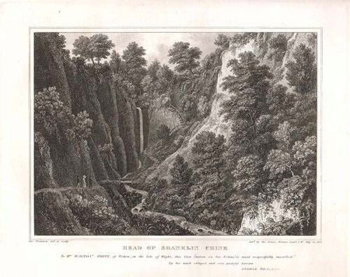 Head of Shanklin Chine