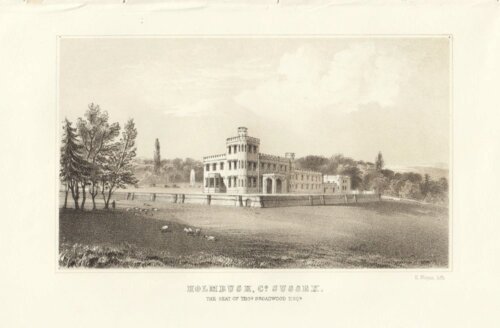 Holmbush, Co. Sussex.  The Seat of Thos. Broadwood. Esq.  (antique print)