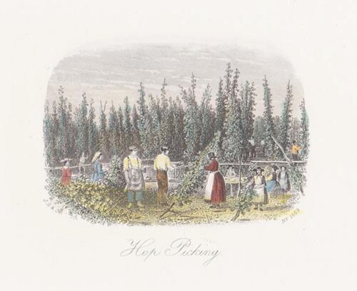 Hop Picking