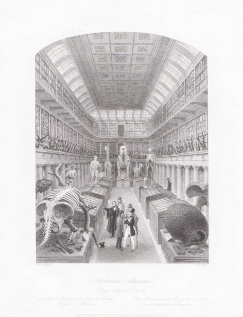 Hunterian Museum.  Royal College of Surgeons.