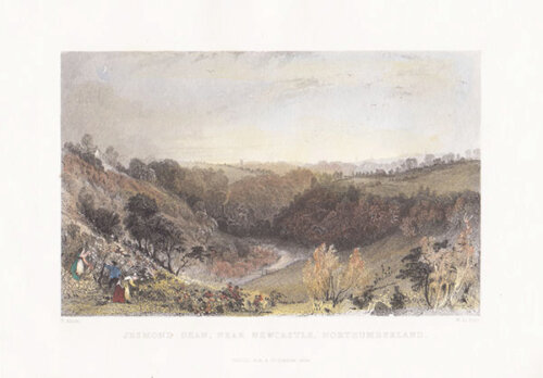 Jesmond Dean near Newcastle Northumberland