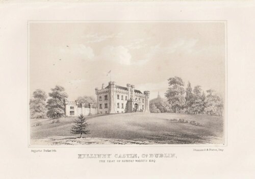 Killiney Castle, Co. Dublin, The Seat of Robert Warren. Esq.  (antique print)