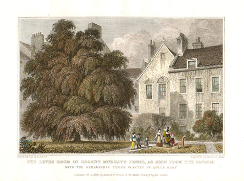 The Levee Room in Regent Murray's House as seen from the garden with the remarkable thorn planted by Queen Mary  