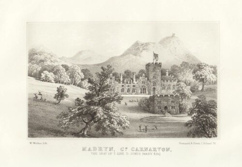Madryn, Co. Caernarvon, The Seat of T. Love D. Jones Parry Esq.  (antique print)