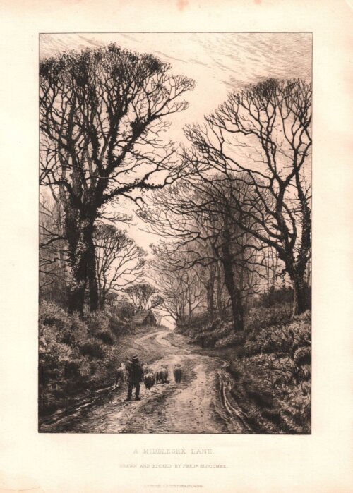 A Middlesex Lane.