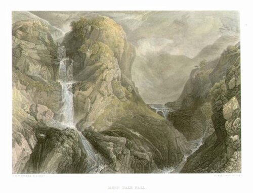 Moss Dale Fall