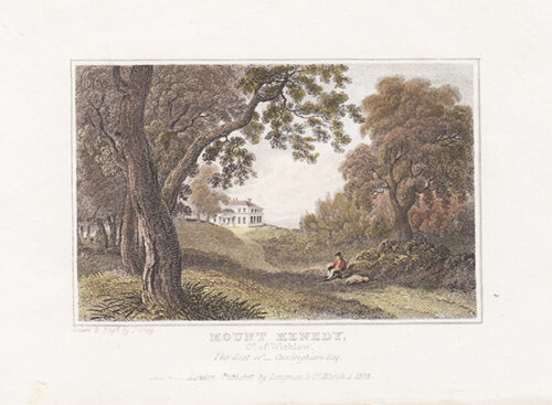 Mount Kenedy Co of Wicklow 