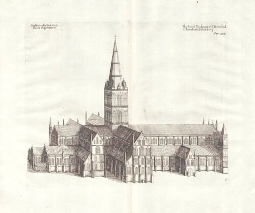 The North Prospect of ye Cathedral Church of Salisbury   (antique print)