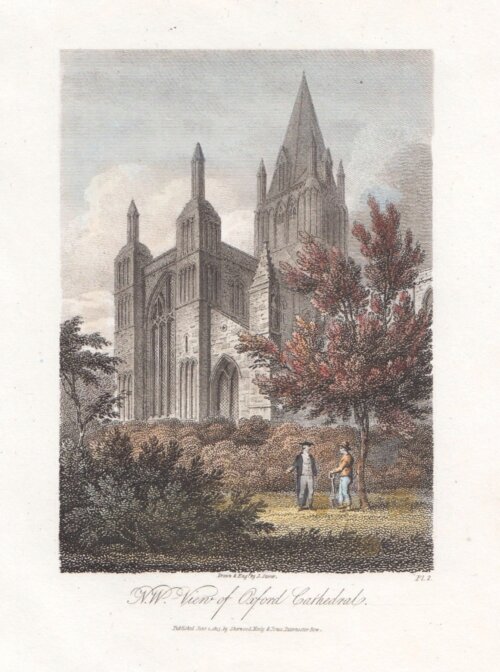 N W View of Oxford Cathedral  (antique print)