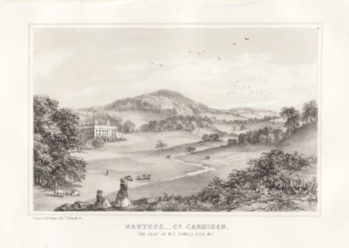 Nant Eos, Co. Cardigan.  The Seat of W.E. Powell.  Esq.  M.P.  (antique print)