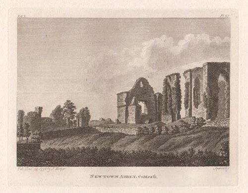 Newtown Abbey