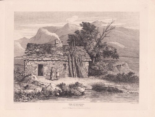 Isle of Anglesea  -  Near the Paris Mine  (antique prints)