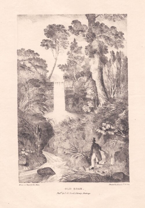 Old Roar.  (antique print)