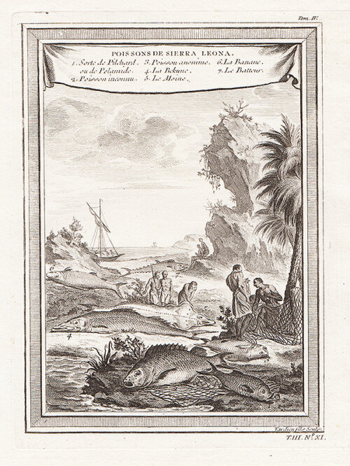 Poissons de Sierra Leona