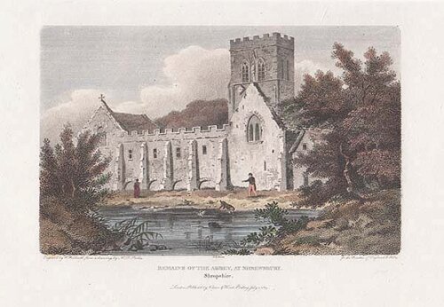 Remains of the Abbey at Shrewsbury