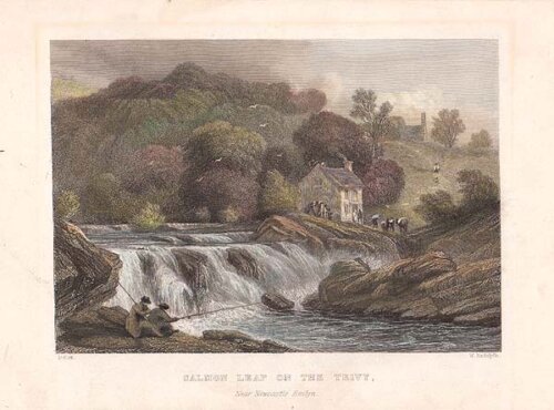 Salmon Leap on the Teivy