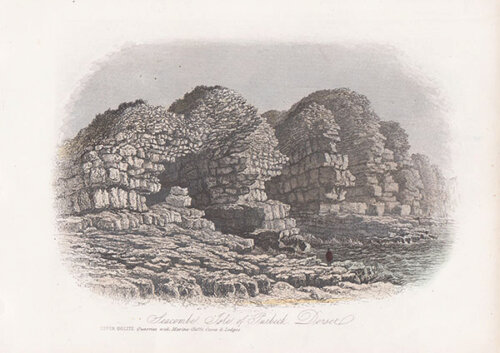 Seacombe Isle of Purbeck Dorset  Upper Oolite  Quarries with Marine Cliffs Caves and Ledges