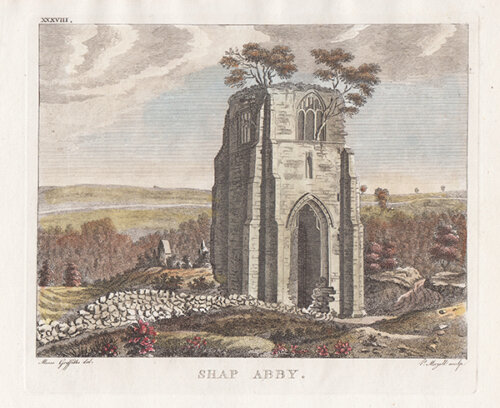 Shap Abby