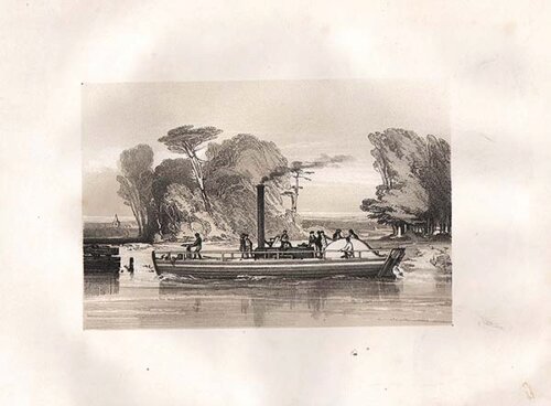 Sternwheeler