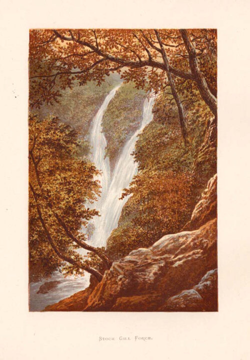 Stock Gill Force