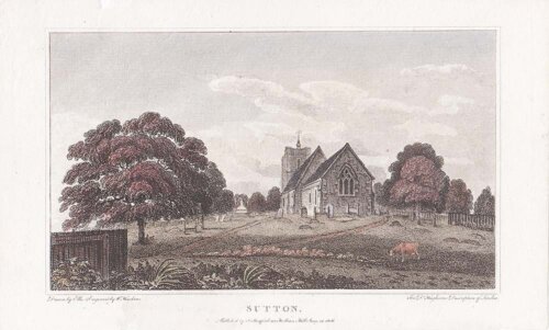 Sutton 