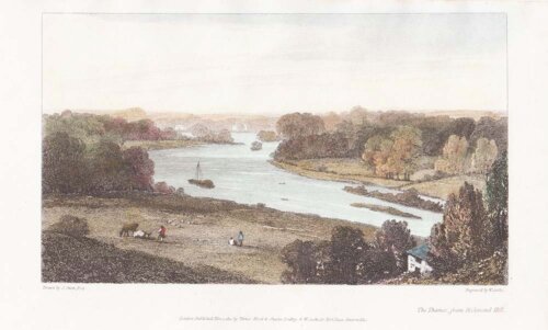 The Thames from Richmond Hill.
