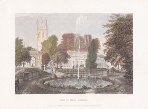 The Botanic Garden.