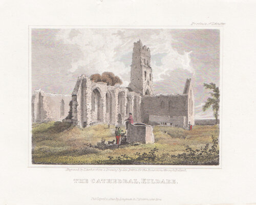 The Cathedral Kildare 
