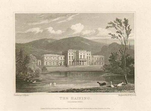 The Haining