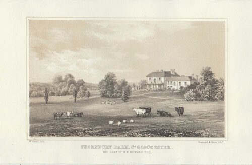 Thornbury Park, Co. Gloucester.  The Seat of H.W. Newman. Esq.  (antique print)