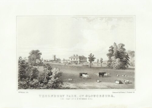 Thornbury Park, Co. Gloucester.  The Seat of H.W. Newman Esq.  (antique print)